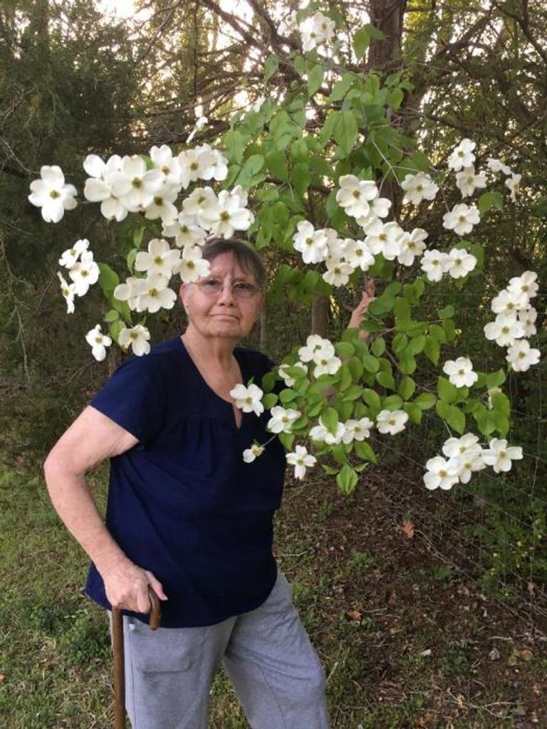 Dorothy Evelyn Clack