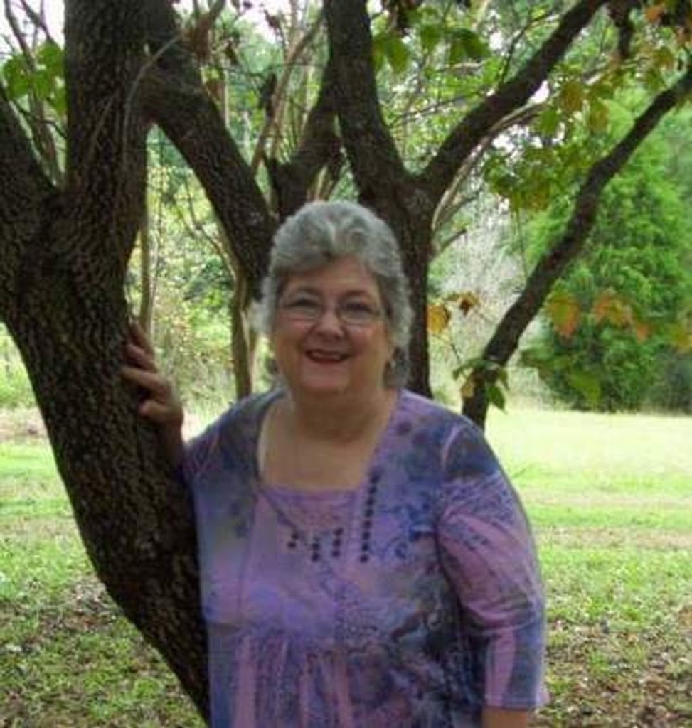 Patricia Mccall Perkins Profile Photo