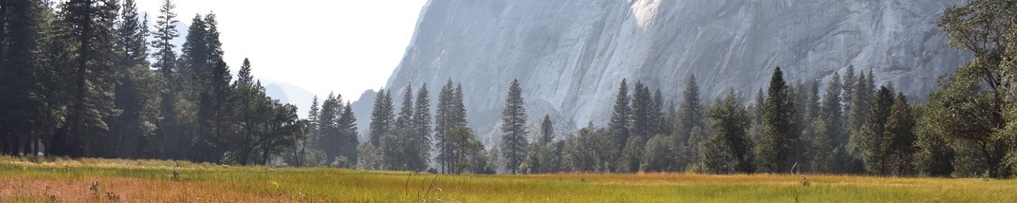 Cover photo for Mark Posik's Obituary