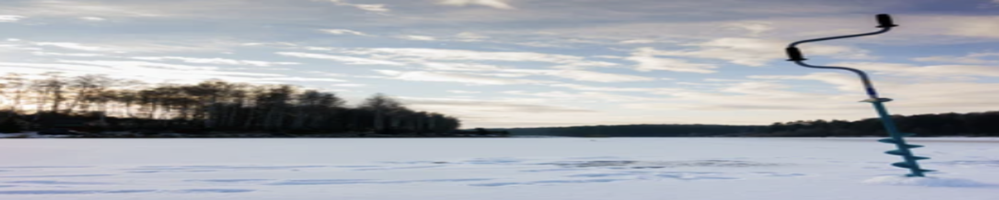 Cover for Sebastiano Craparotta's Obituary