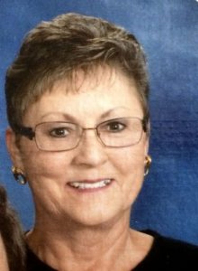 Kaye Stein Profile Photo