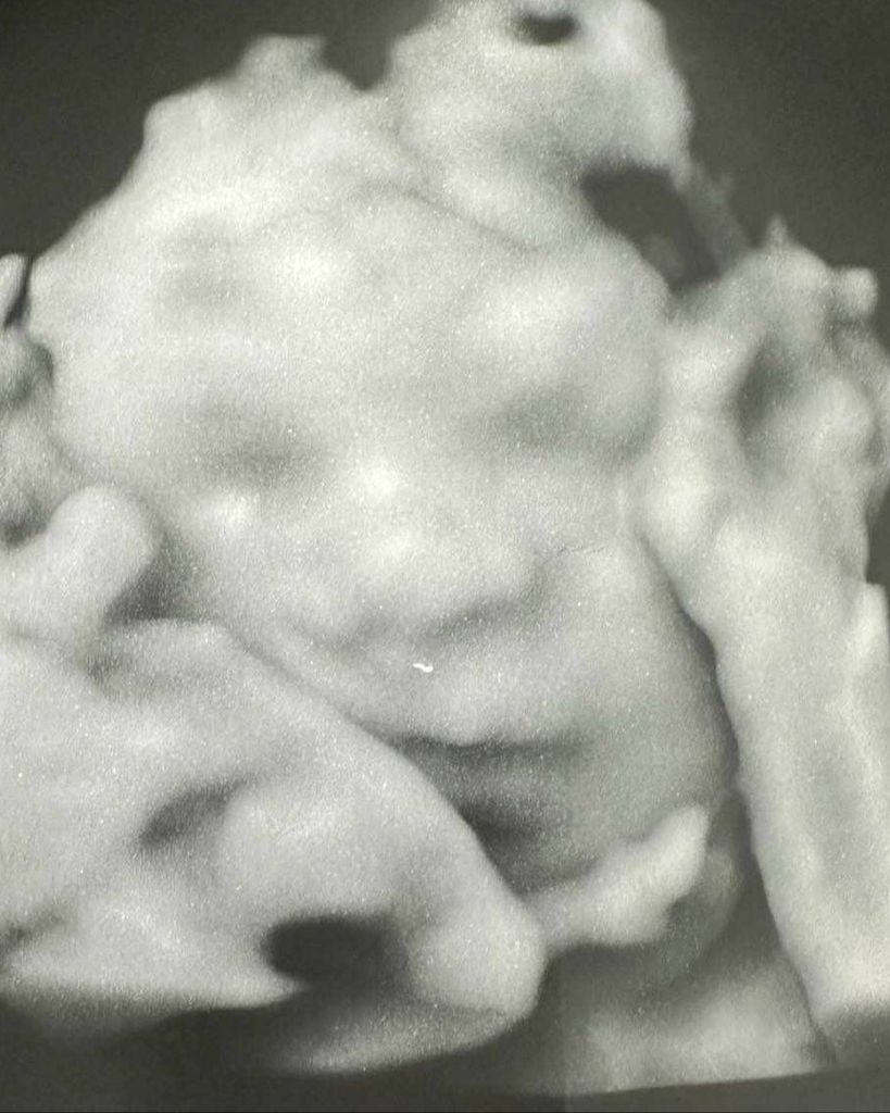 Baby Houston Singletary