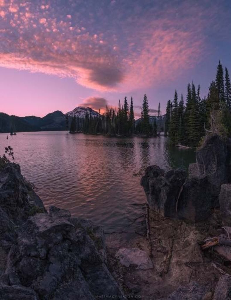 Deanna Gwen (Harmon)  Ingram