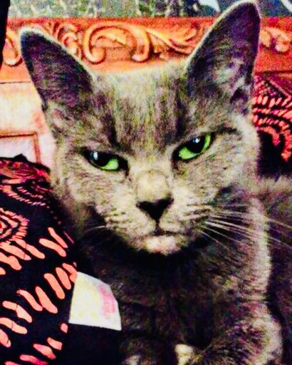 Blu ?'s obituary image