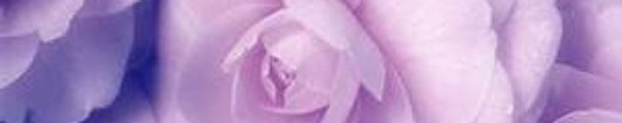 Cover photo for Lavern "Sally" Thorpe's Obituary