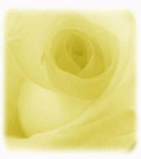 Sharon Lyllis Parton Profile Photo