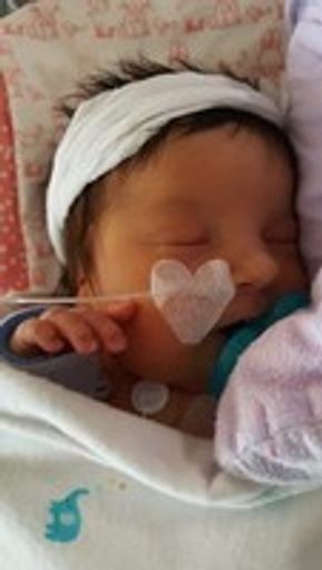 Audrey  Holly-Anne Noble Profile Photo