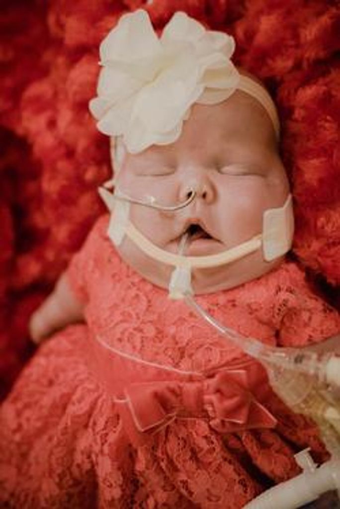 Madison "Maddie" M. Huff Profile Photo