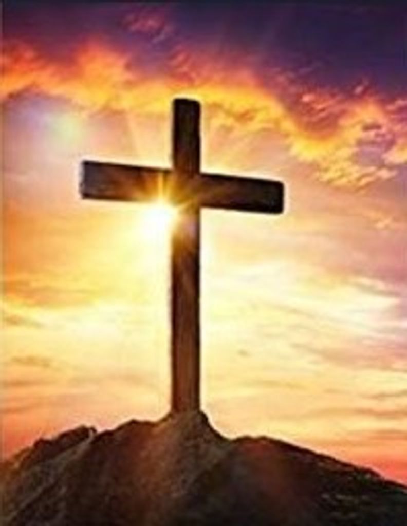 Joey Kish Profile Photo