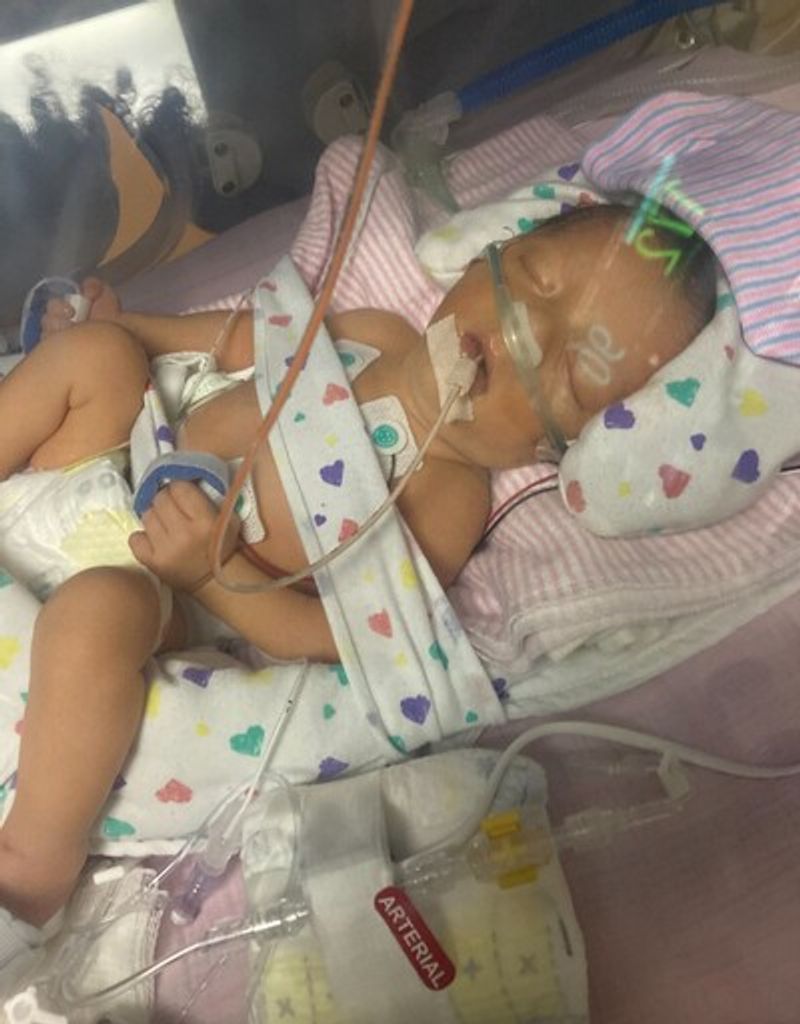 Serenity Agape Agrippa Profile Photo