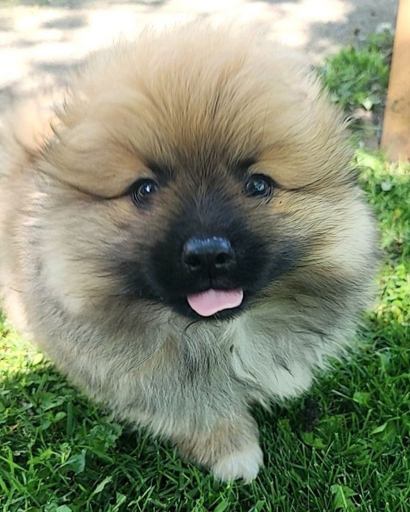 Baxter Reed