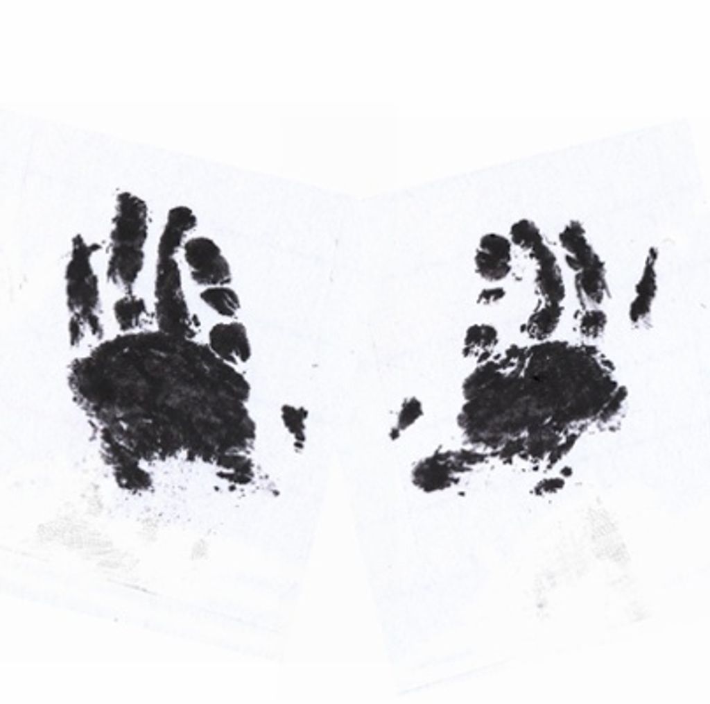 Brooklynn Daisy Mae Wedde