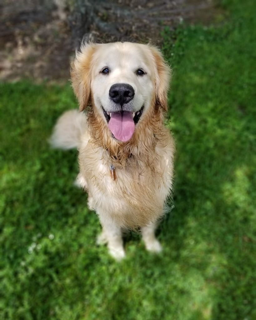 Gus Profile Photo