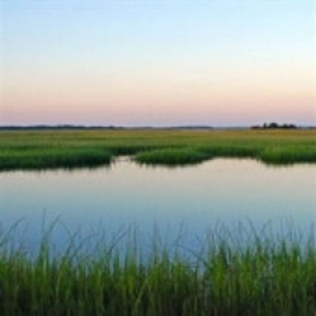 Mr. Robert F. Manley