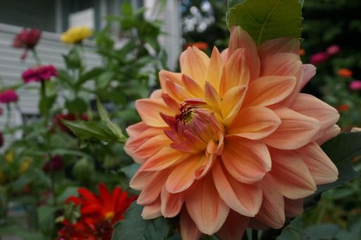 Sandra L. Stowers photo gallery thumbnail 24 of 100