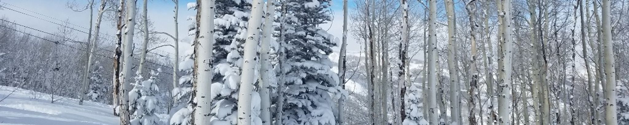 Cover for Michael David Buongiorno's Obituary