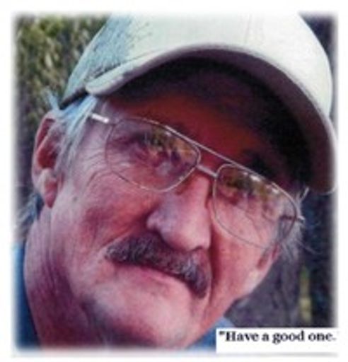 Don Nelson Profile Photo