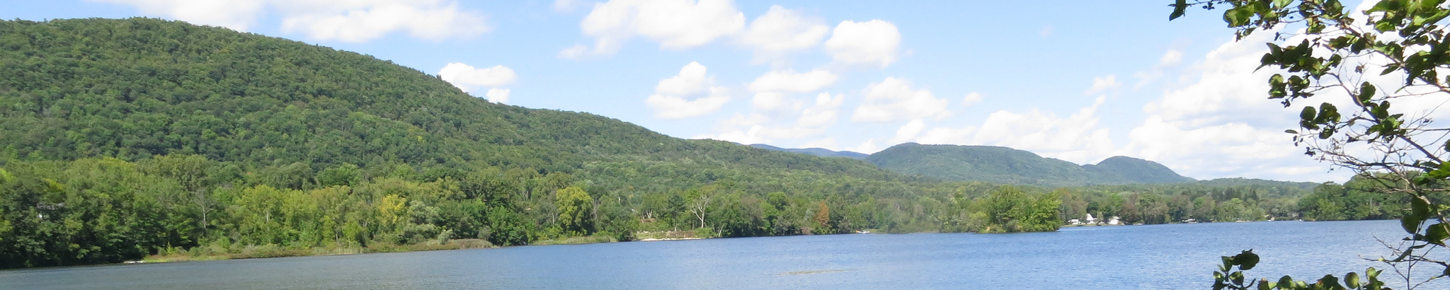 Cover photo for Wendy D. Polak's Obituary