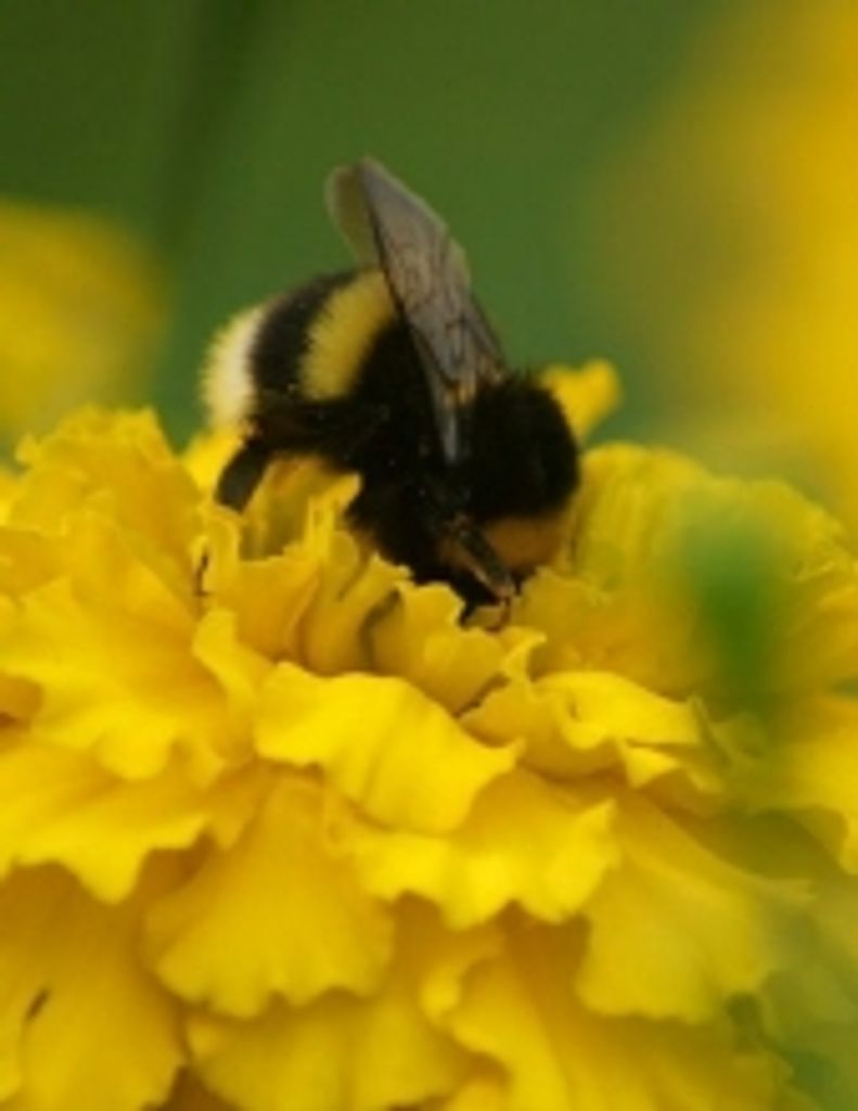 Michael W. Stankiewicz Profile Photo