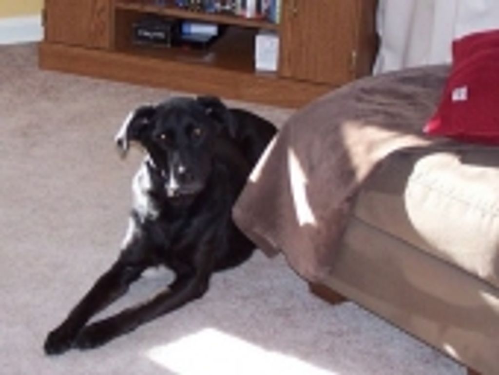 Keira Ribesky Profile Photo