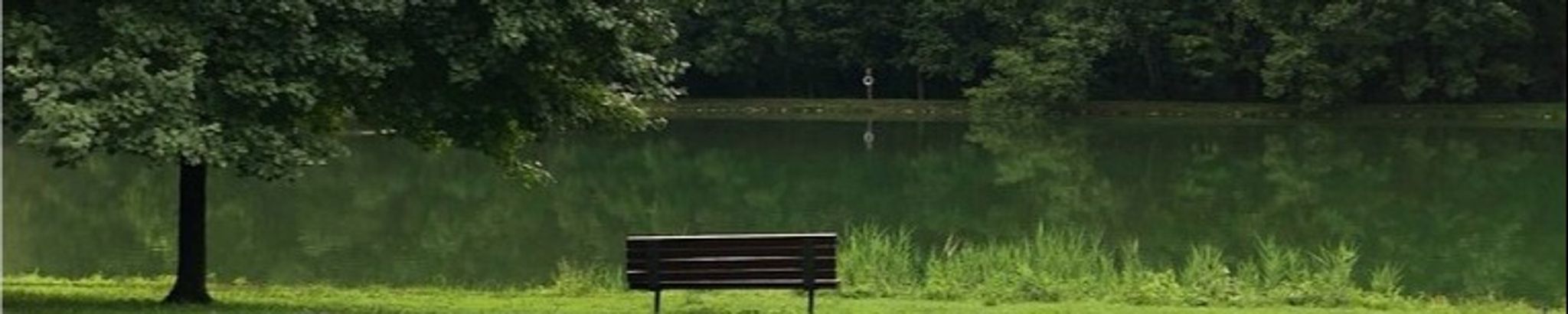 Cover for Yahir Audel Ordoñez Lopez's Obituary