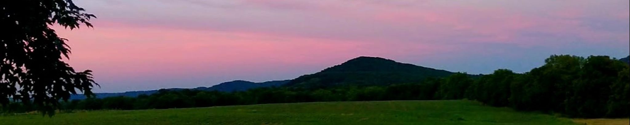 Cover for Julie M. Topsoglou's Obituary