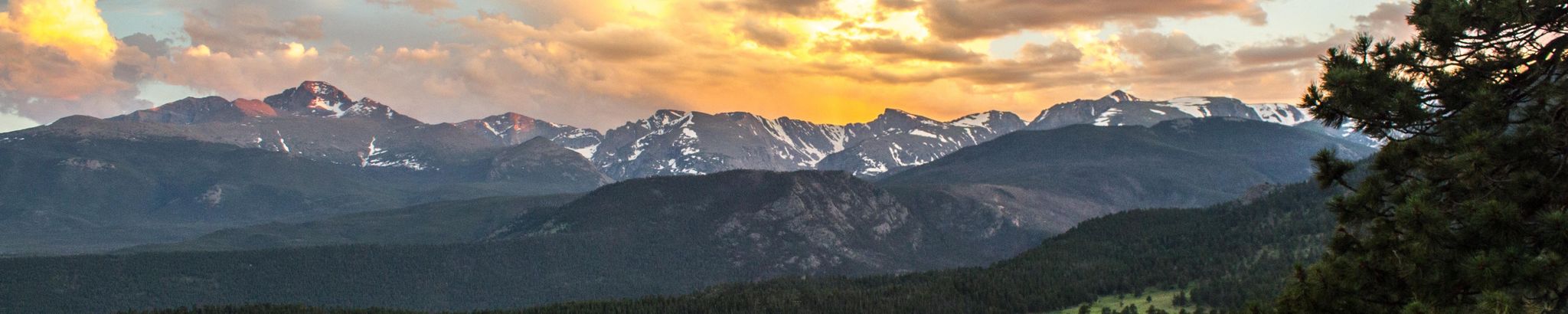 Cover for Catherine Mae Reynolds's Obituary