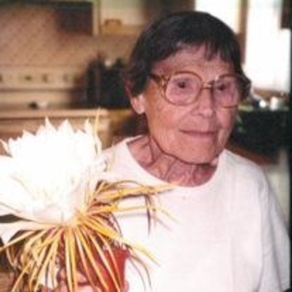 Angela Merrifield Profile Photo