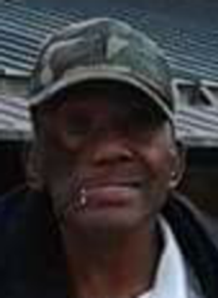 Roosevelt  Jr. (Lansing) Artis