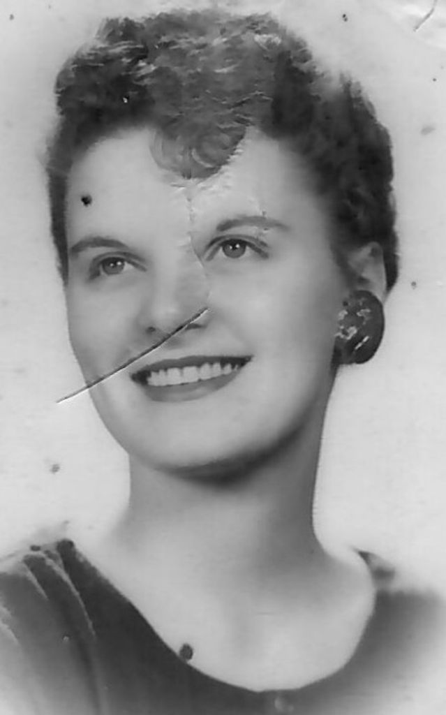 Dorothy Everlyn Dibiase Profile Photo