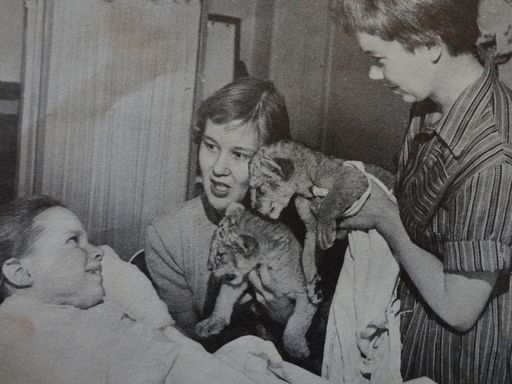 Rosemary Langsjoen photo gallery thumbnail 8 of 63