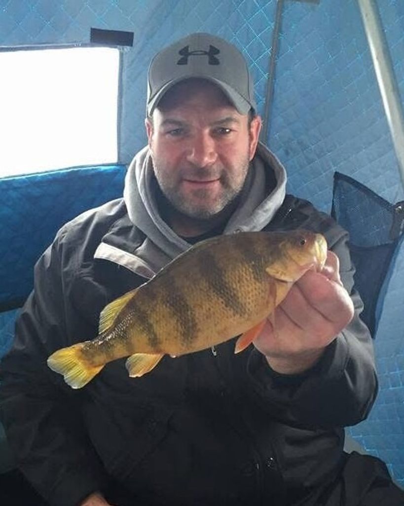 Jason D. Halsne