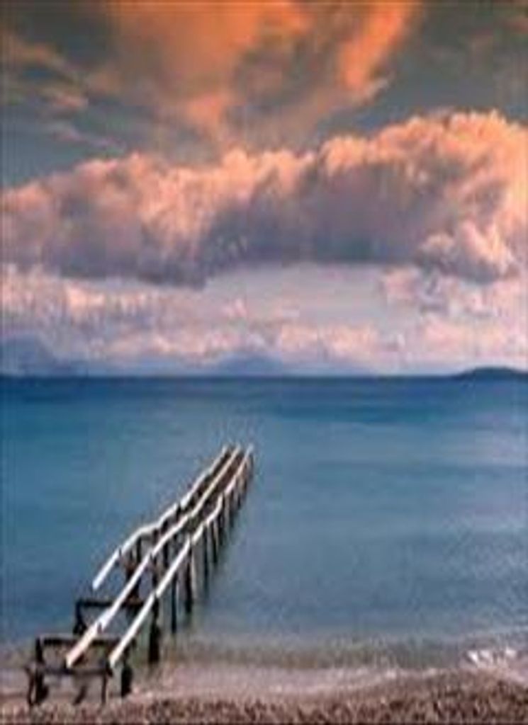 Michael Robert Bidwell