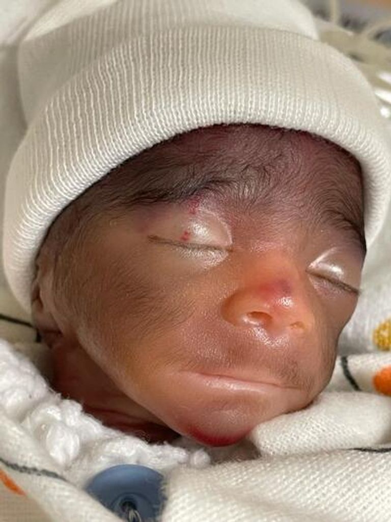 Wayne Carter Warfield Profile Photo