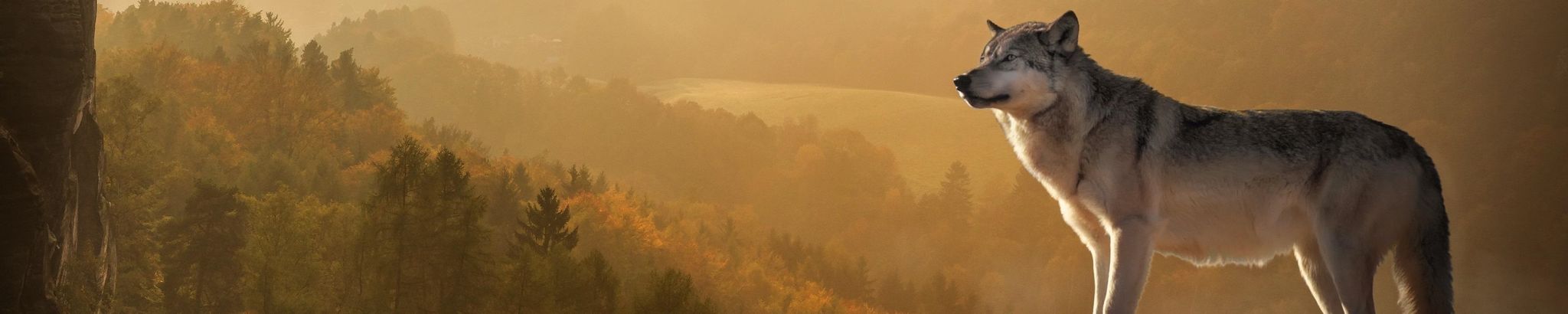 Cover photo for Janelle Loeb's Obituary
