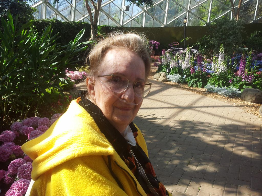 Susan Hayner