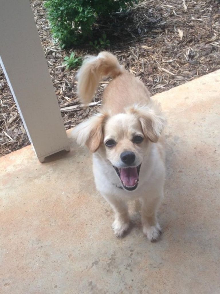 Ginger Gordon Profile Photo