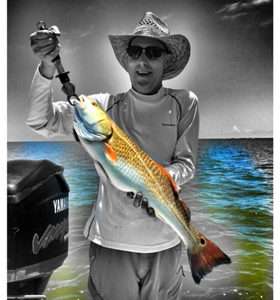 David Bryan Neidhart