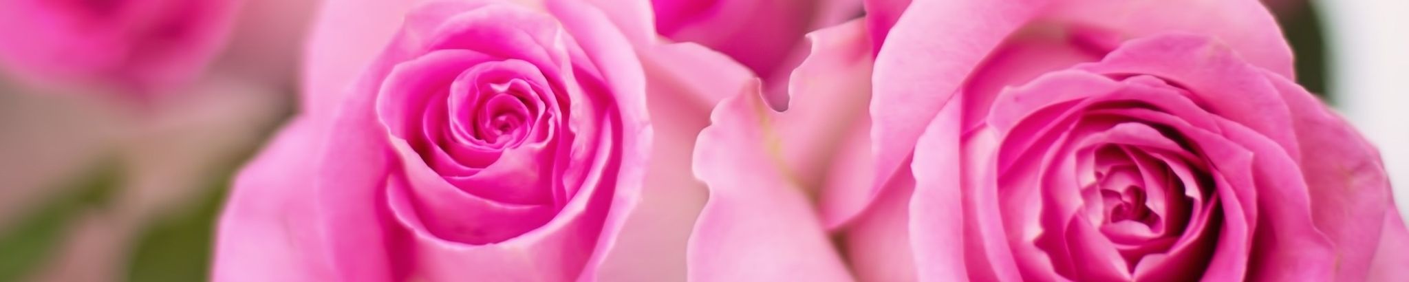 Cover for Mona Aldean Reece's Obituary