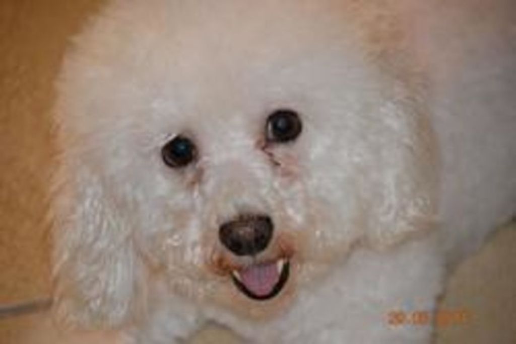 Lexie Thomas Profile Photo