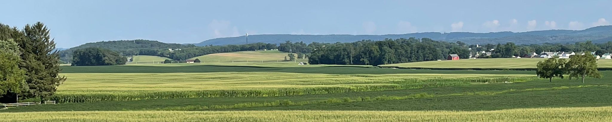 Cover photo for Barbara L. Seidel's Obituary