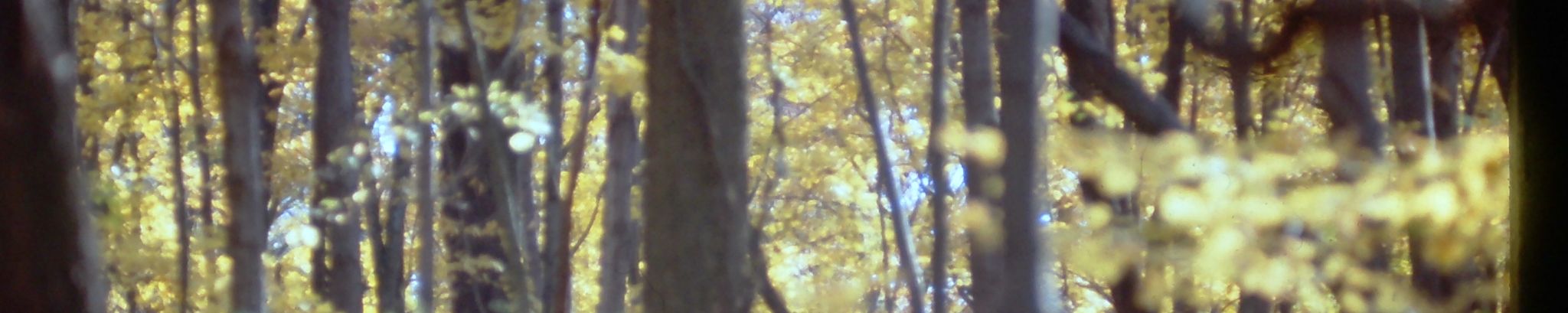 Cover for Jean McConville Payne's Obituary