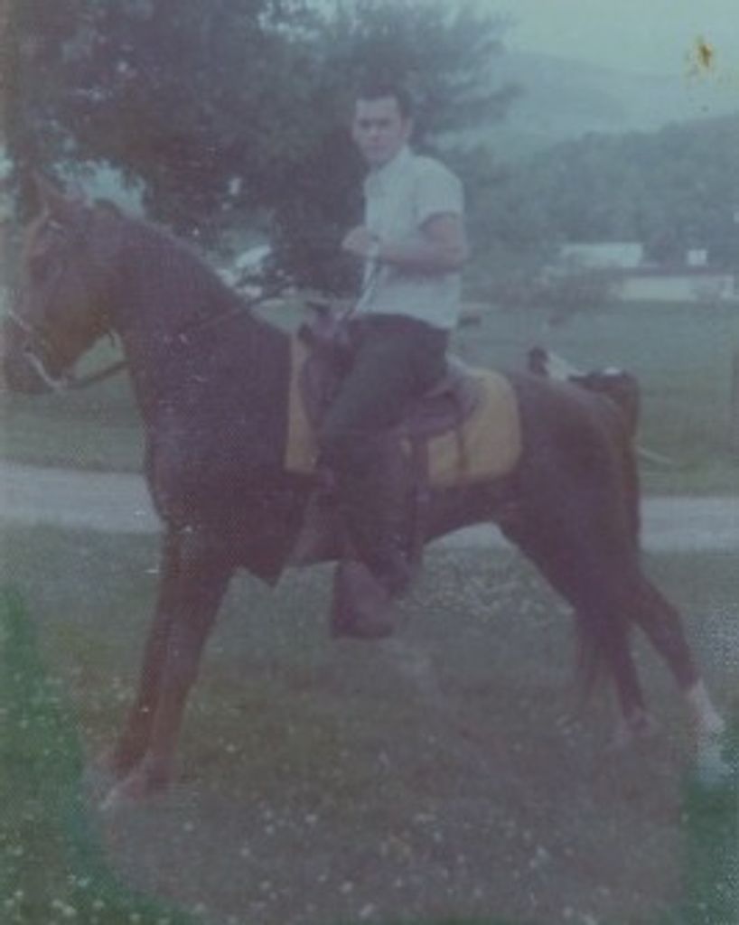 Tommy Gribble Profile Photo