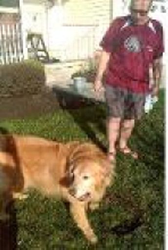 Lawrence Mancuso photo gallery thumbnail 35 of 58