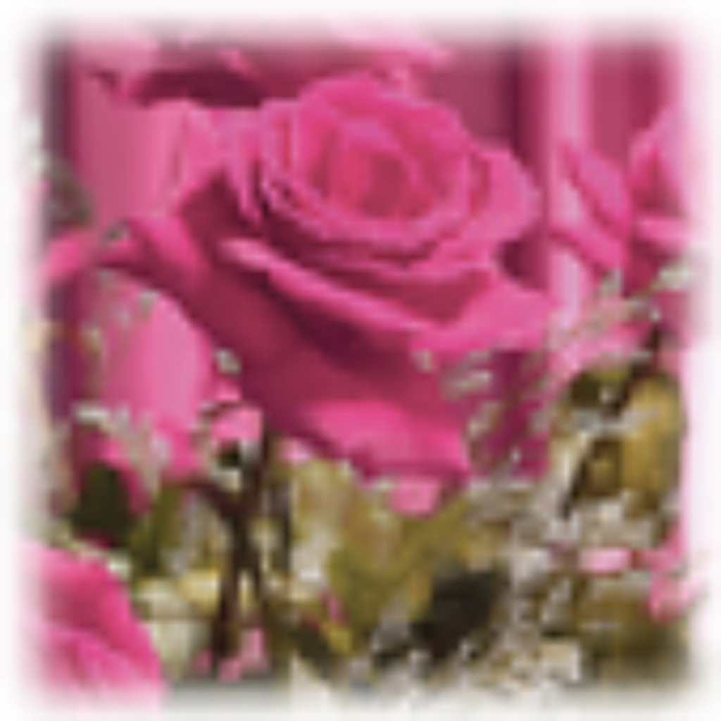 Rose Minton