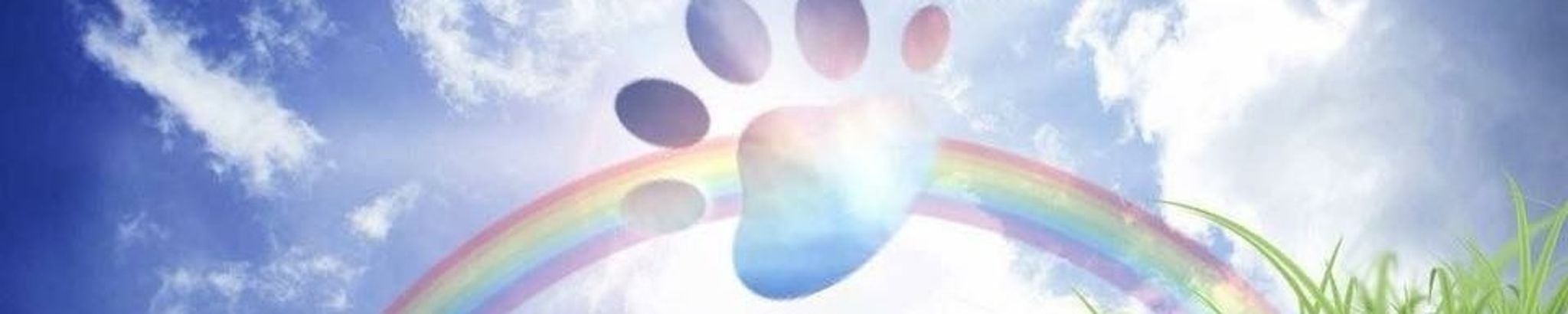 Cover for Rex Morales's Obituary