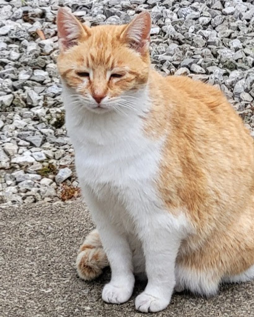 Franklin "Cheesers" Oliver Melroy Profile Photo