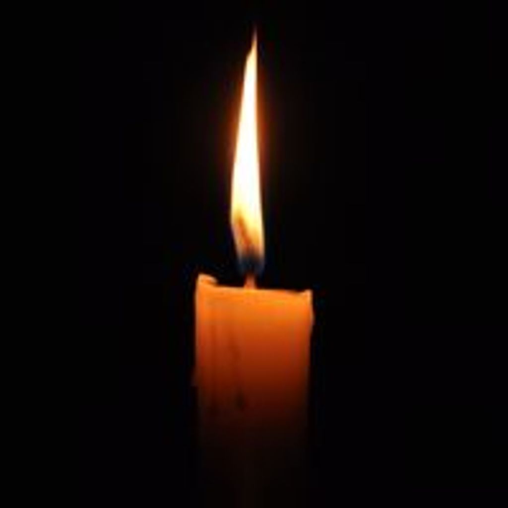 Evelyn Knerr Profile Photo