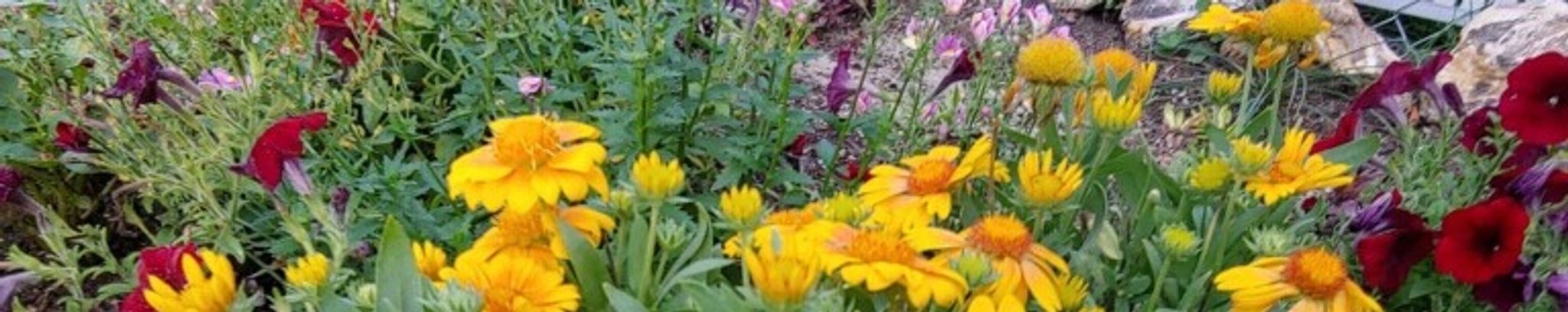 Cover photo for Vivian Panasuk Wood's Obituary