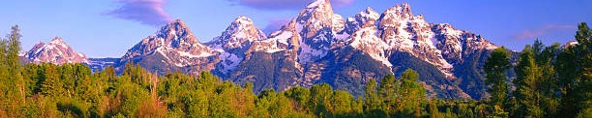 Cover for Natalie Marie Mays's Obituary